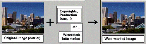 Digital Watermarking